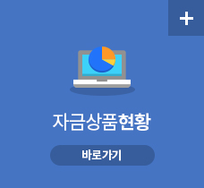 자금현황